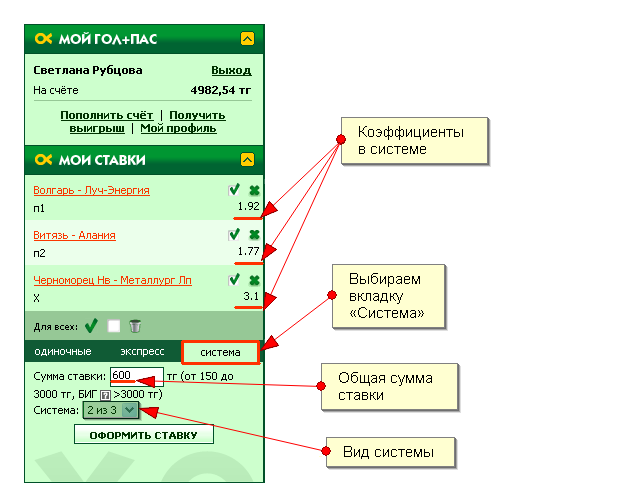 Приклад ставки«Система»