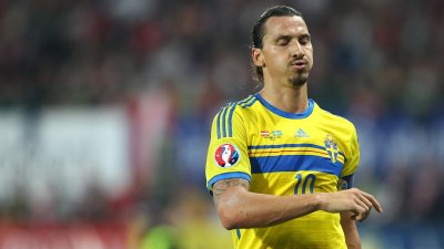 Imago Imago
